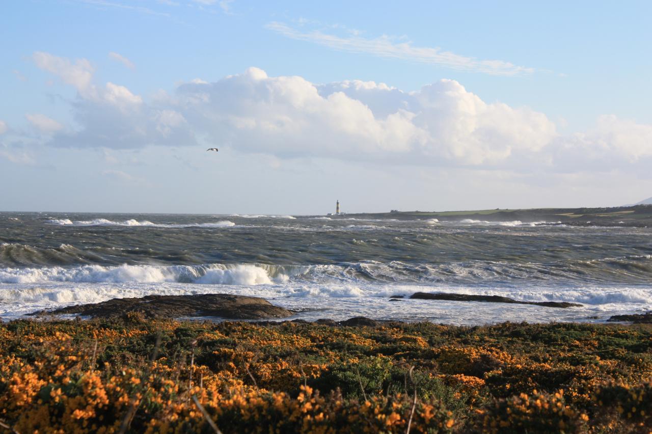 Ringfad B&B Ardglass Zewnętrze zdjęcie